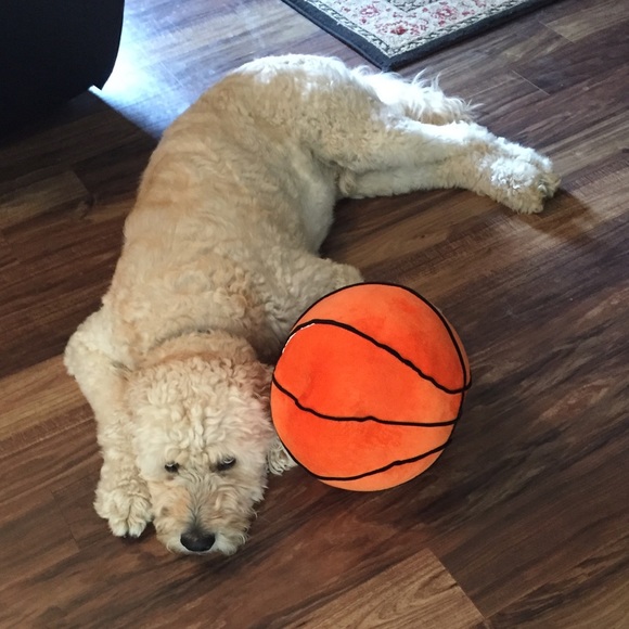 Meet your Posher, Mary Ann - Picture 4 of 5